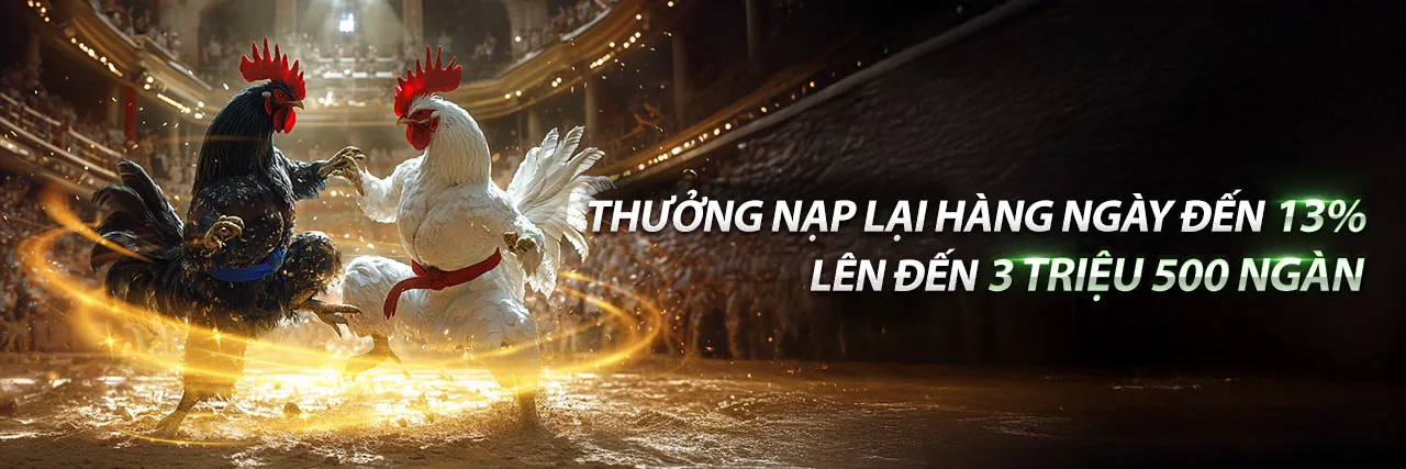 Ứng dụng mv66 đá gà trên điện thoại di động